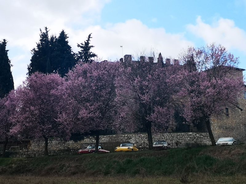 Castel Pietraio photo 4