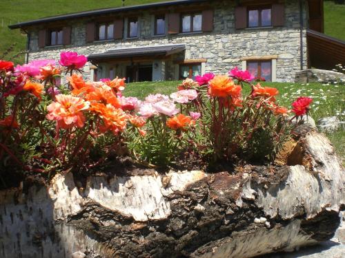 Agriturismo Le Radici photo 5
