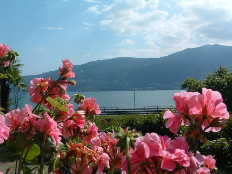 Residence Tre Ponti photo 4