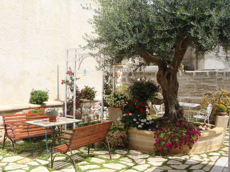 Guest House Al Gattopardo photo 4