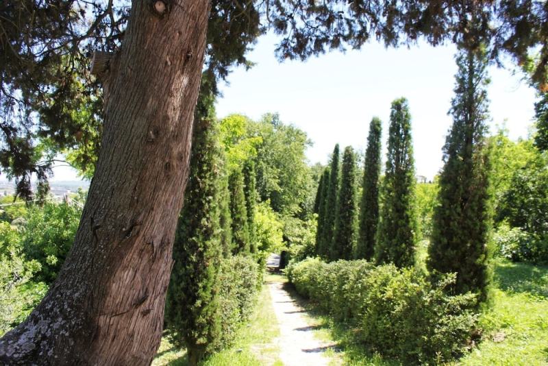 Villa Rinalducci photo 4
