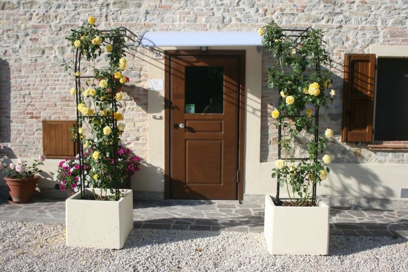 B&B La Fenice photo 3