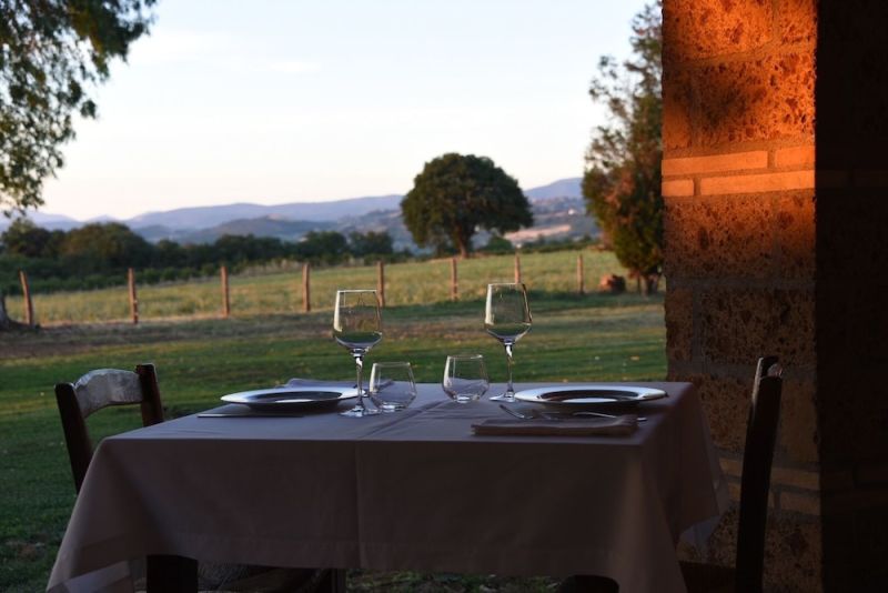Fattoria Lucciano photo 5