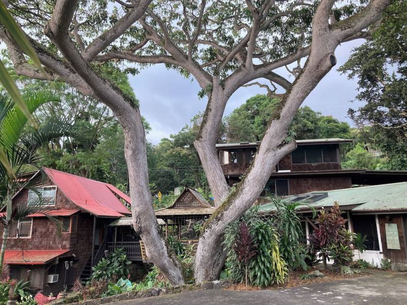 Hale Maluhia Country Inn photo 5