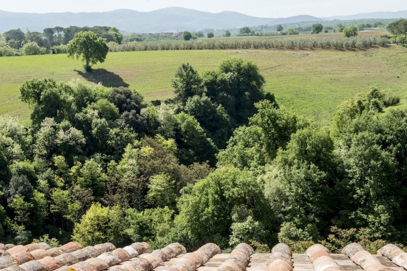 Palazzo Pacini photo 3