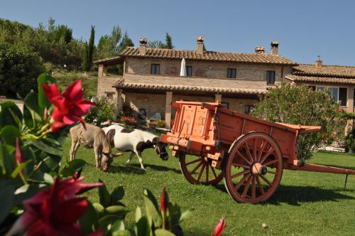 Farm stay Il Carro del Colle photo 2