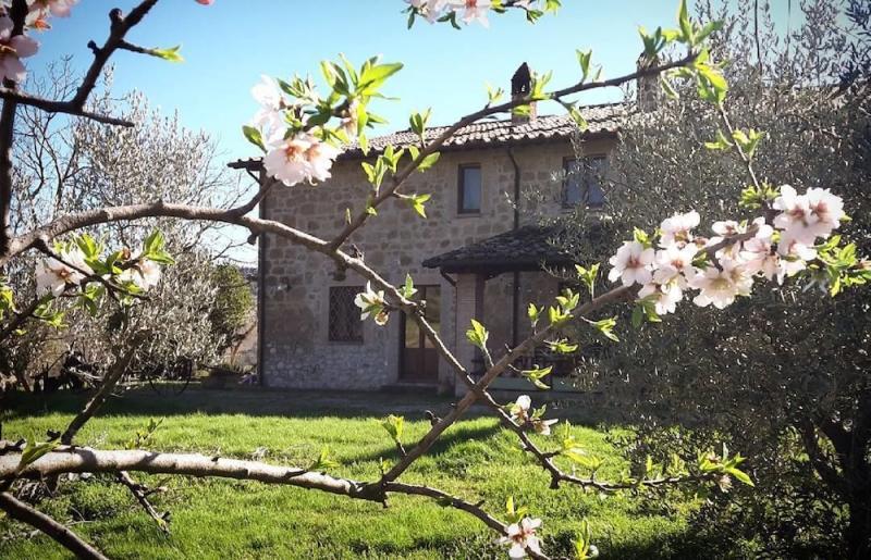 Agriturismo Cioccoleta photo 4
