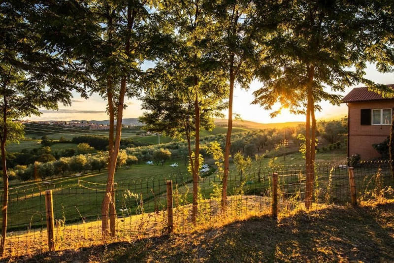 Agriturismo Il Sambuco photo 4