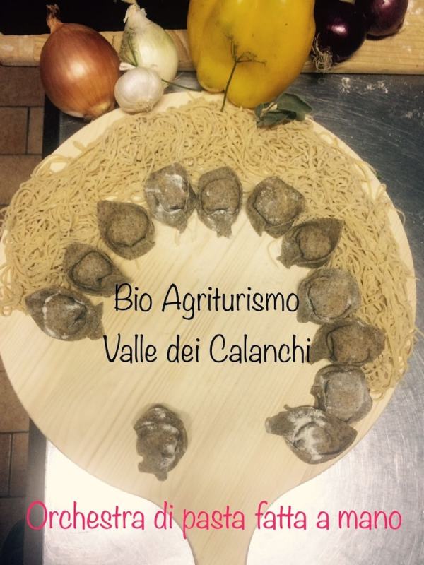 Bio Agriturismo Valle dei Calanchi photo 4