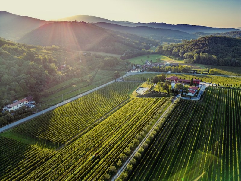 Il Roncal Wine Resort photo 5