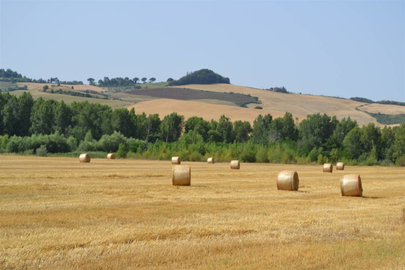 Agriturismo Le Spighe photo 4