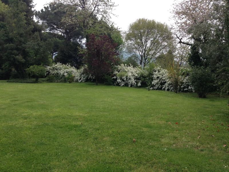 Villa Abbamer photo 5