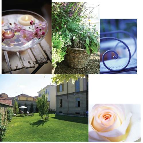 L'Ortodellerose  photo 3