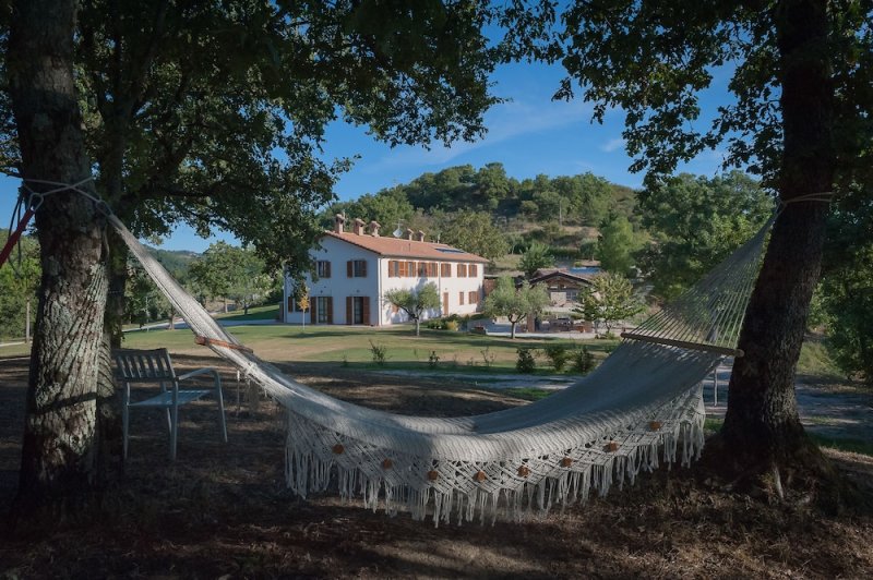 Agriturismo Il Beccafico Alpaca photo 3