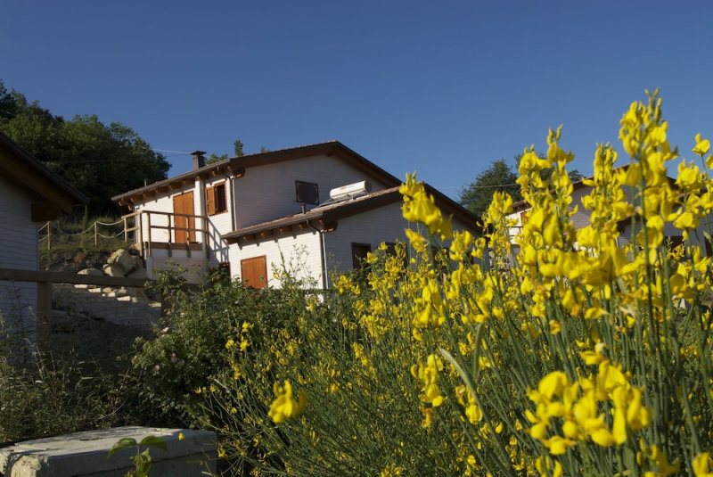 La Valle Dei Caprioli - B&B photo 4
