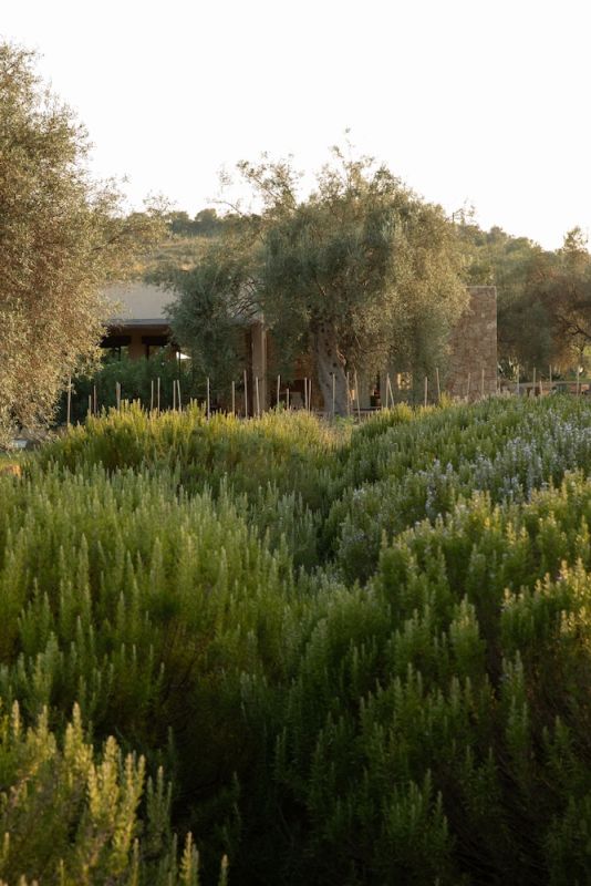 IUTA Glamping & Farm photo 3