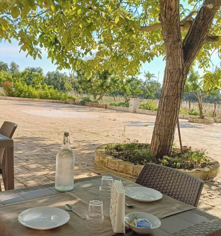 Tenuta Vigna Del Noce photo 4