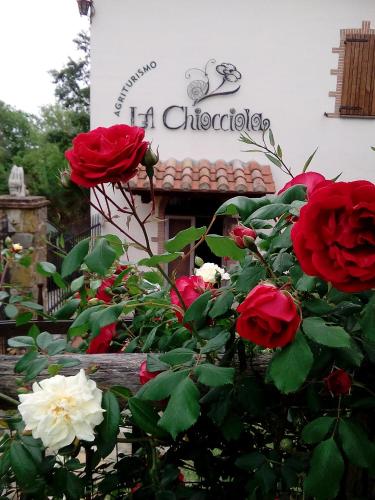 Agriturismo La Chiocciola photo 4
