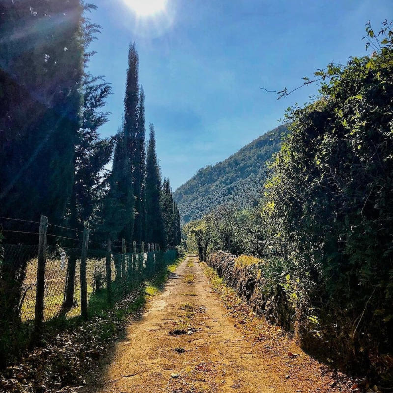 Podere Groppini photo 5