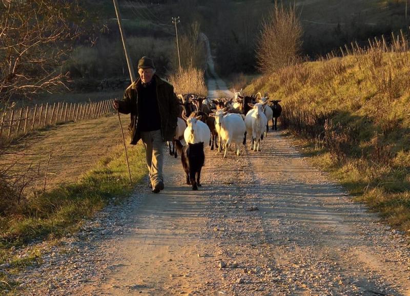 Azienda Agricola I Colli di Marliano photo 4