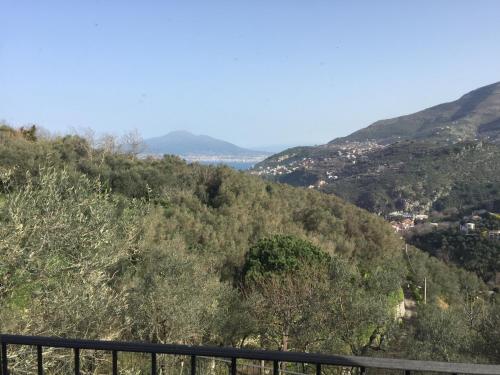 Il Casale Del Mirto photo 3