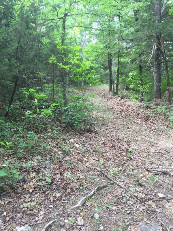 Cherokee mountain log cabin resort photo 4