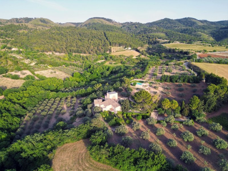 Villa Santa Margherita photo 4