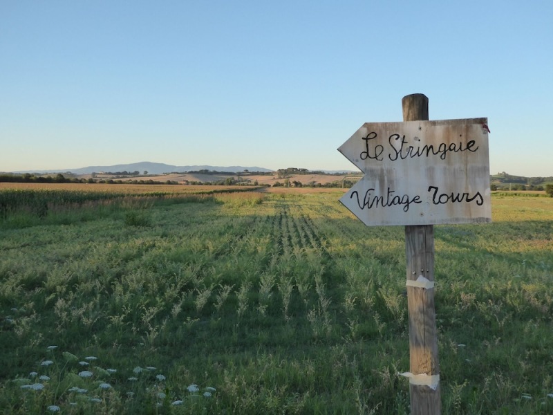Agriturismo Le Stringaie photo 2