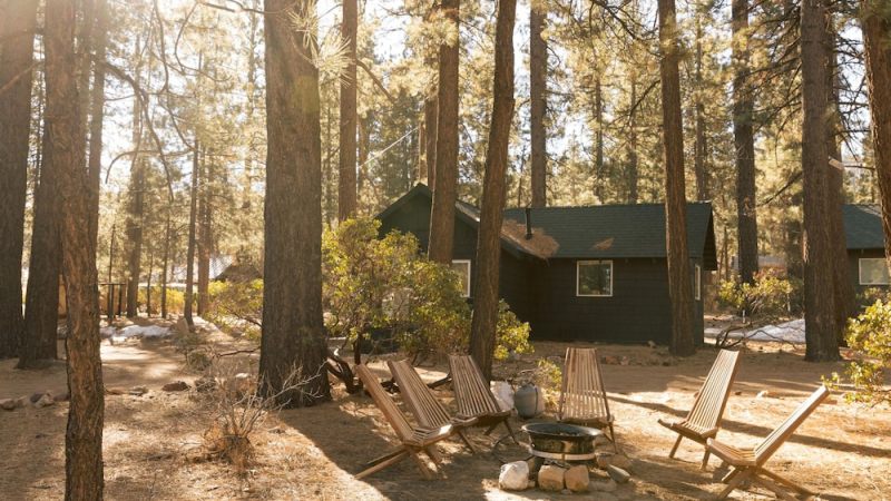 Colorado Lodge photo 2