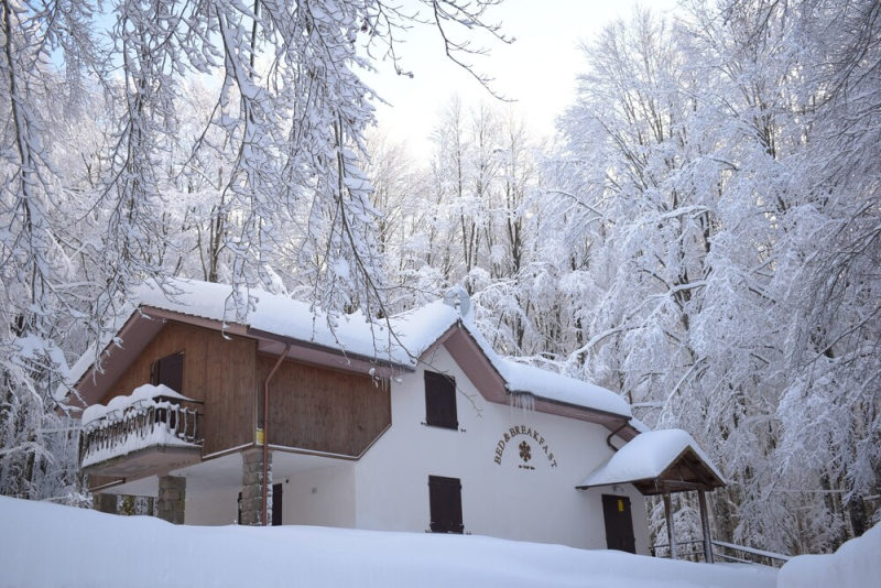 Chalet Il Cristallo photo 3