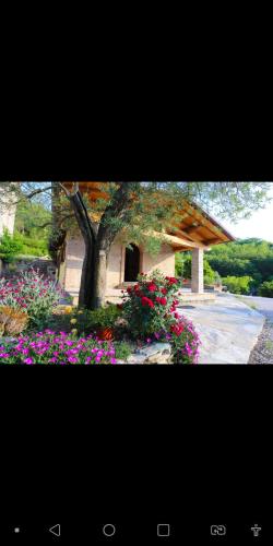 Agriturismo la Tana photo 3