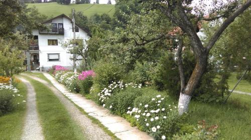 Pensiunea Iulia photo 2