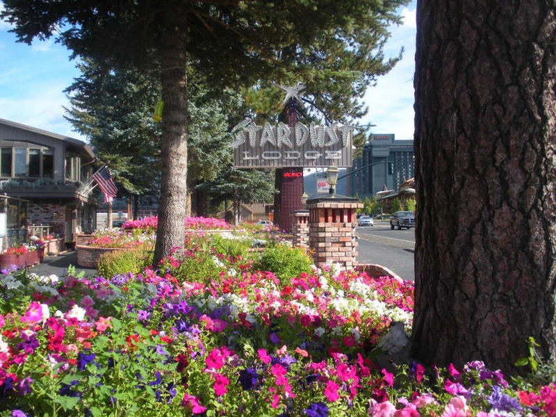 Stardust Lodge photo 5