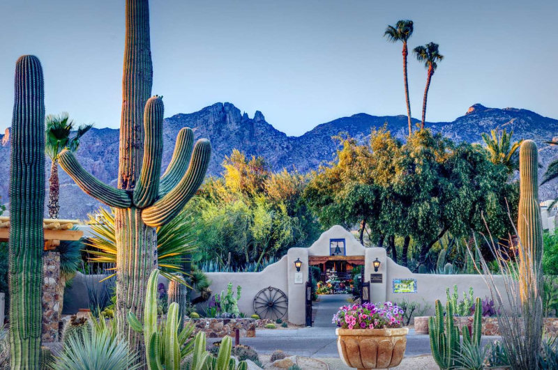 Hacienda Del Sol Guest Ranch photo 4