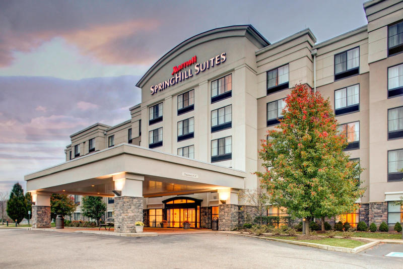 Springhill Suites By Marriott Wheeling Triadelphia Area photo 3