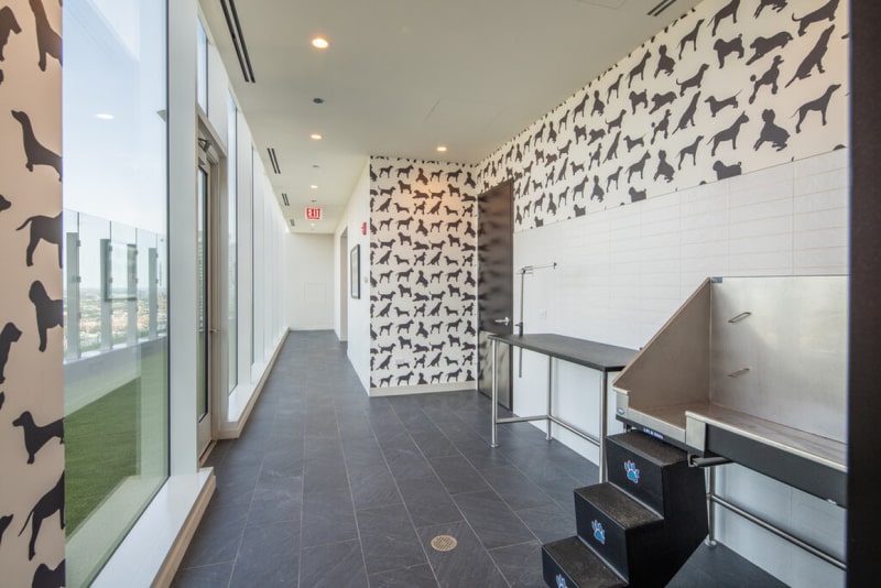 Suite Home At 868 Wells