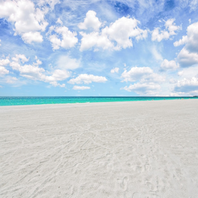 Seabreeze at Anna Maria Island Inn photo 5