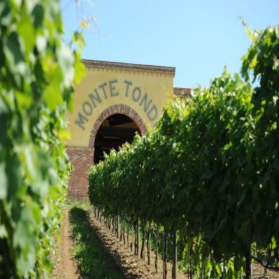Monte Tondo photo 4