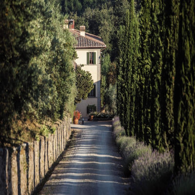 Dievole Wine Resort photo 3