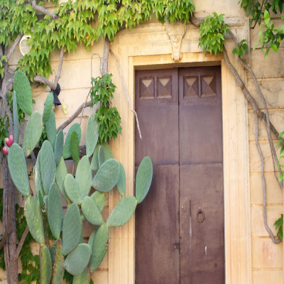 Baglio Siciliamo Country House Adult Only photo 5