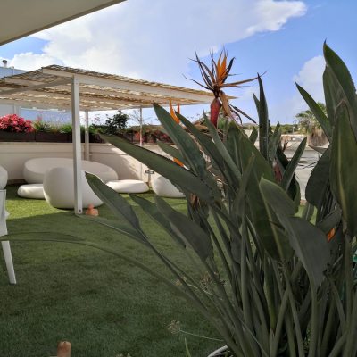La Casa del Turista photo 3