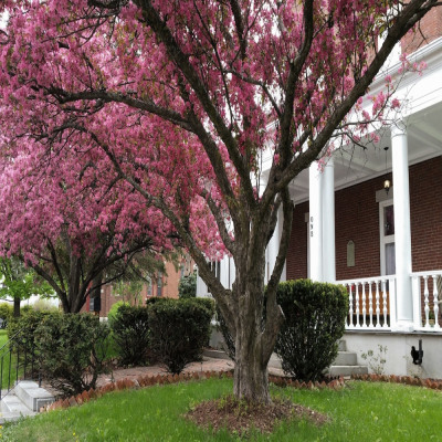 Inn at the Agora photo 2