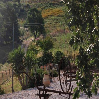 Poggio Al Vento photo 3