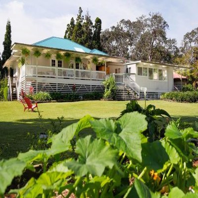 Aloha Junction Bed and Breakfast -Minutes away from Hawaii Volcanoes National Park photo 3
