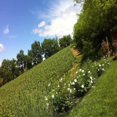 Villa del Sole photo 4