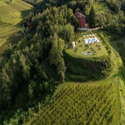 Bosco Romagno photo 3