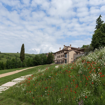 Ca' del Moro Wine Retreat photo 5