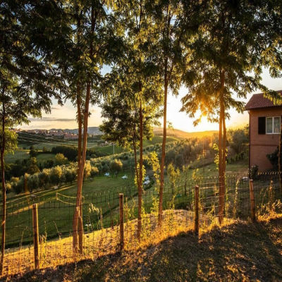 Agriturismo Il Sambuco photo 3
