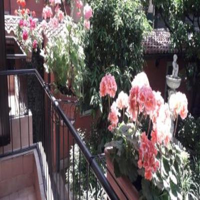 Gioia Guest House photo 5