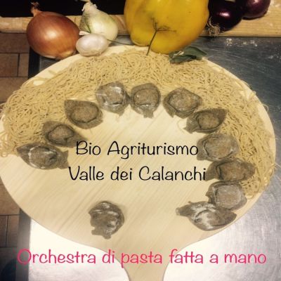Bio Agriturismo Valle dei Calanchi photo 2